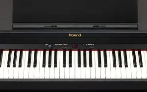 Roland RP301 piano keybed