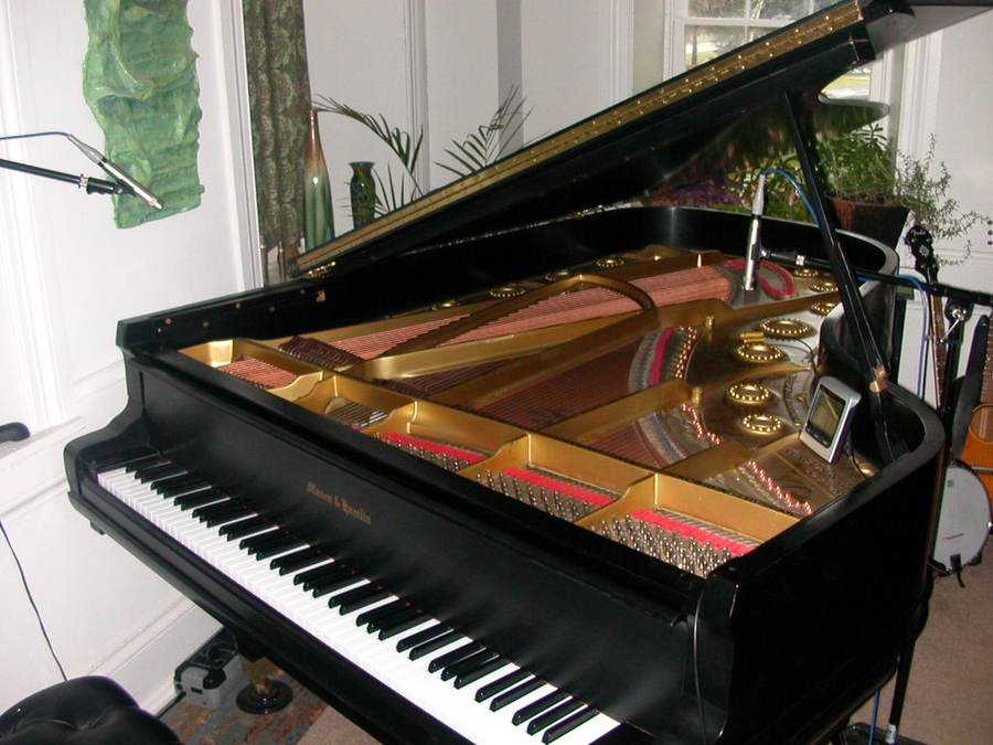 Goedkoopste piano Vleugel Kopen